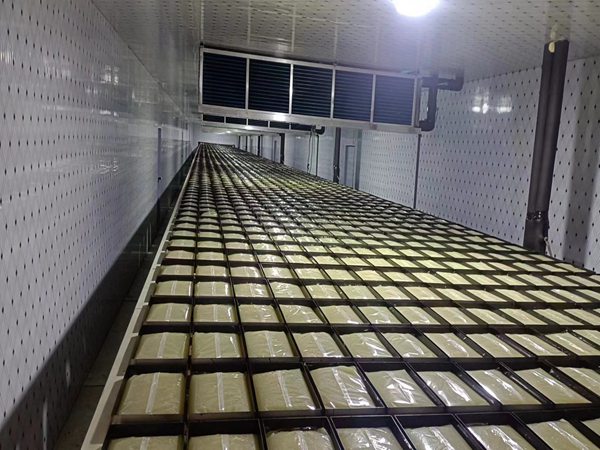 胶体码垛机械人生产线的特点 胶体码垛机械人图片展示